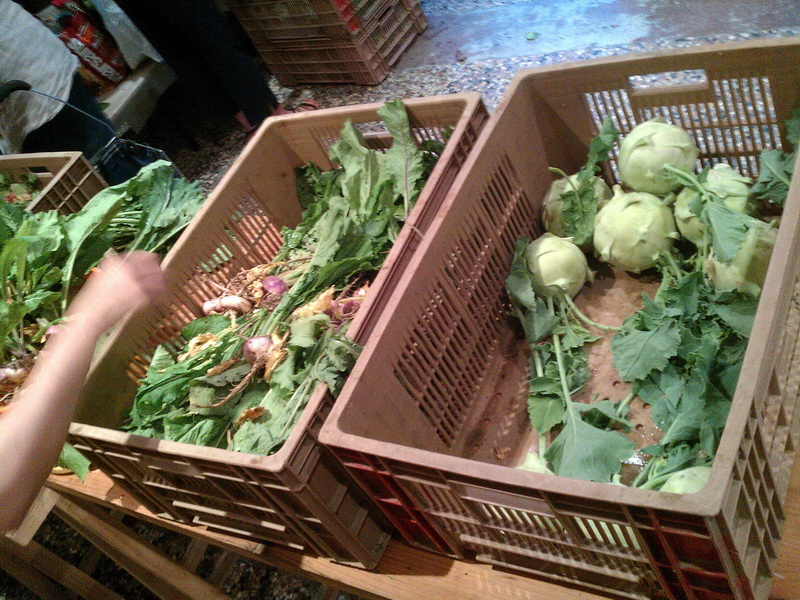 2012-05-31 107.5_l.jpg